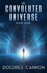 Icon image The Convoluted Universe: Book 4