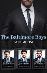 Icon image The Baltimore Boys Volume One