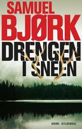 Icon image Drengen i sneen: Bind 3